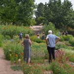 A group of people examines plants in a garden