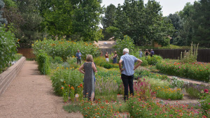 A group of people examines plants in a garden