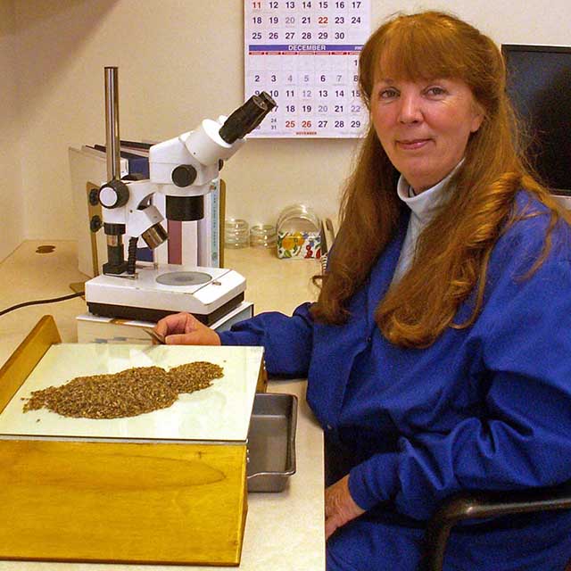 Seed Lab Applewood Seed Company