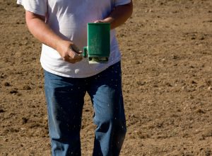 Broadcast Seeding a food plot created for wildlife.