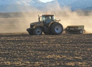 Tractor drill seeds.