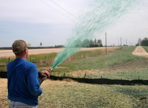 Seed is sprayed into a prepared plot.